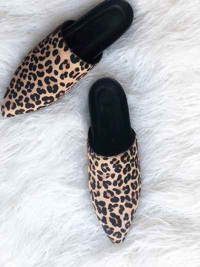 LEOPARD: The Cat's Meow!