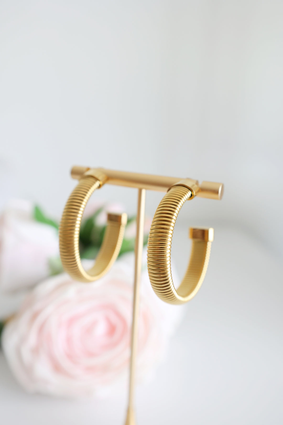 She's Timeless Hoops