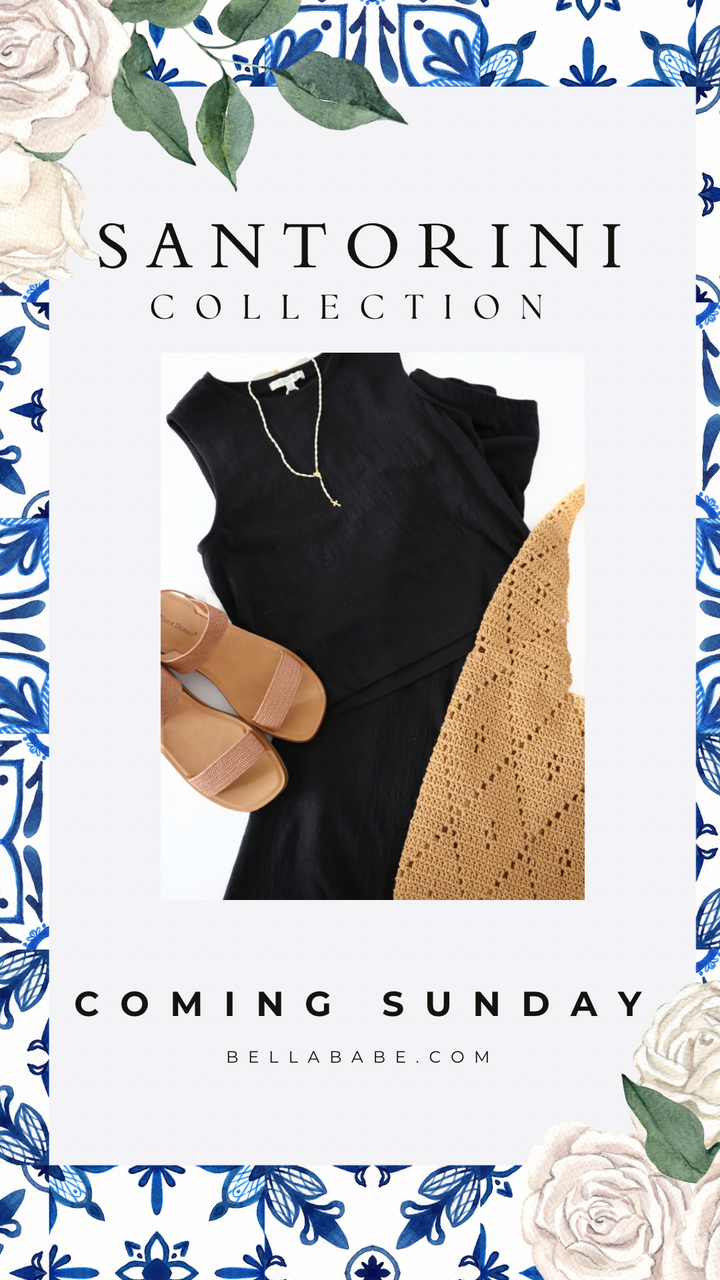 Delavine Textured Midi Skirt - Black(final sale)