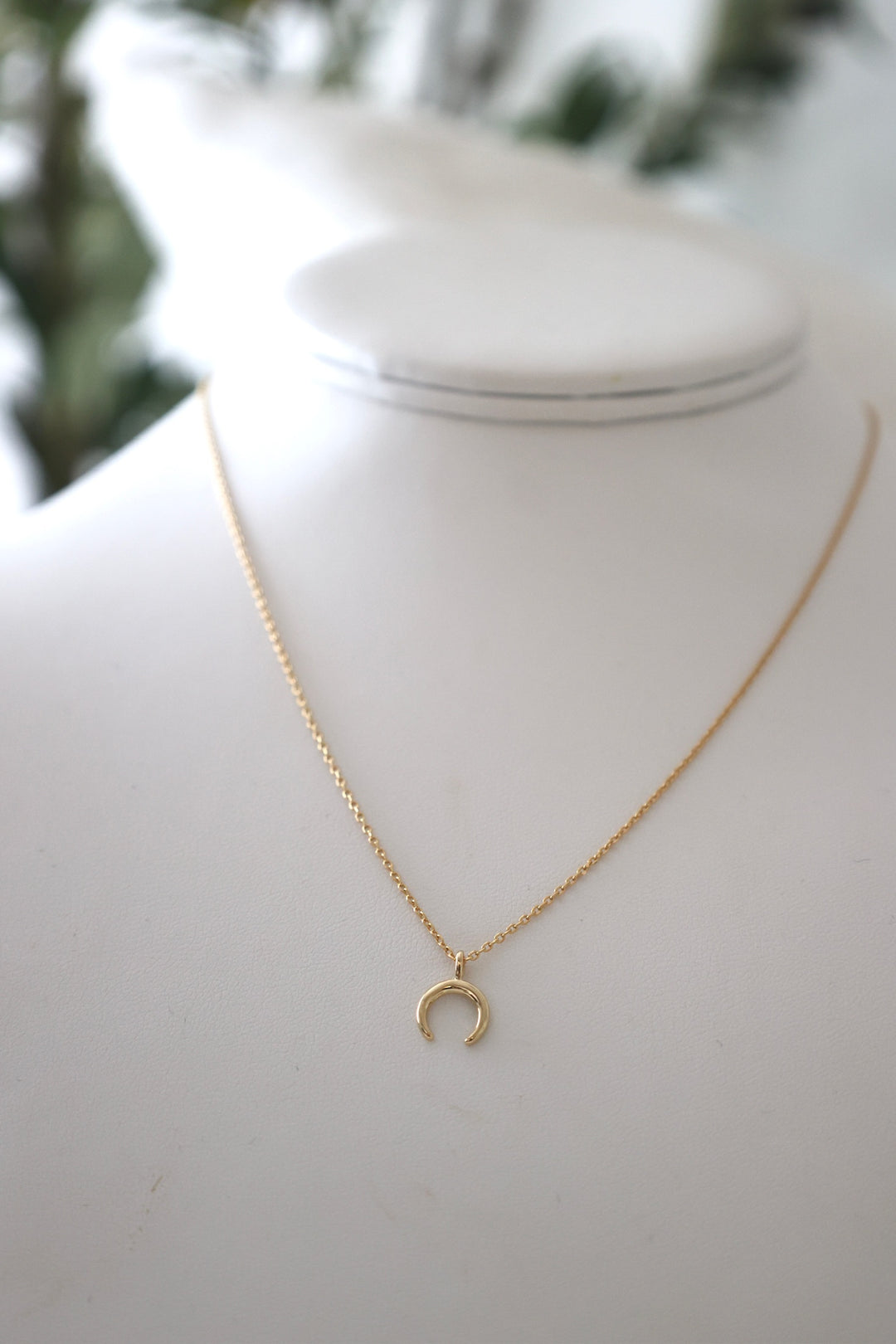 Horn Charm Necklace