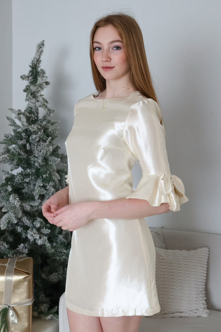 Winter Frost Mini Dress