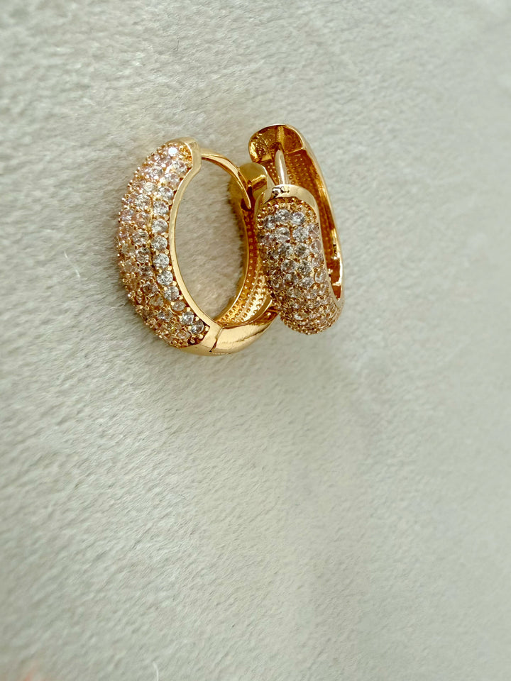 Eleanor Pave Hoops