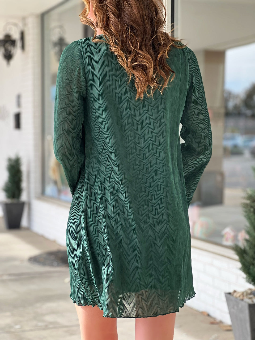 Wonderstruck Long Sleeve Mini Dress(FINAL SALE)