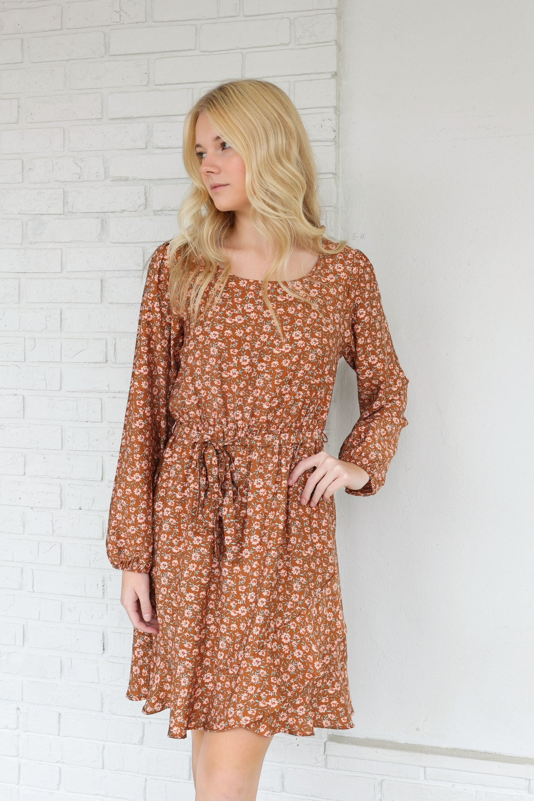 Evelyn Tie Waist Mini Dress