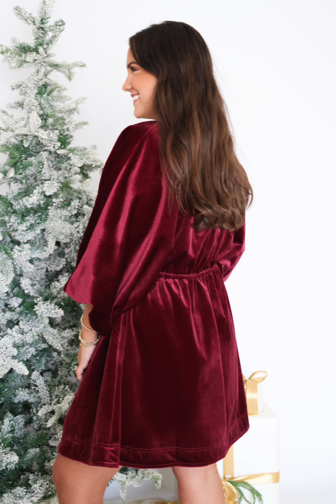 Mischa Velvet Dress