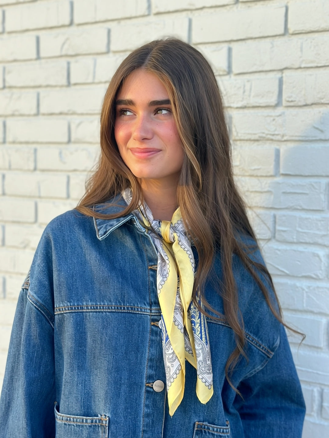 Theory Denim Jacket