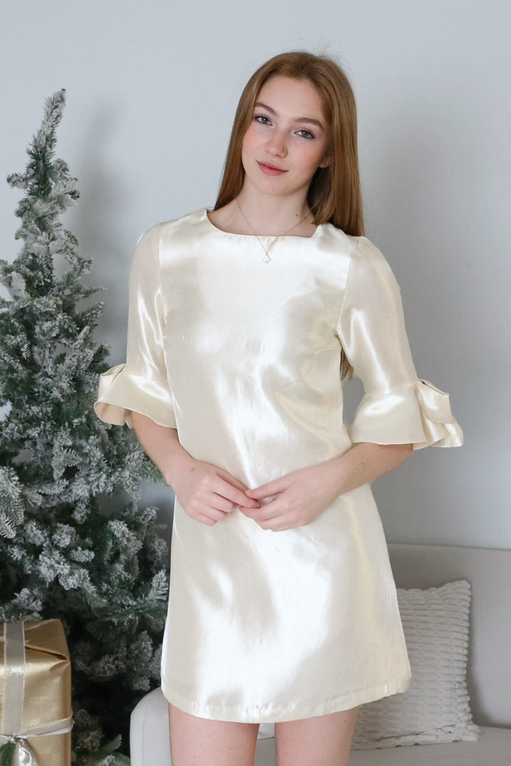 Winter Frost Mini Dress