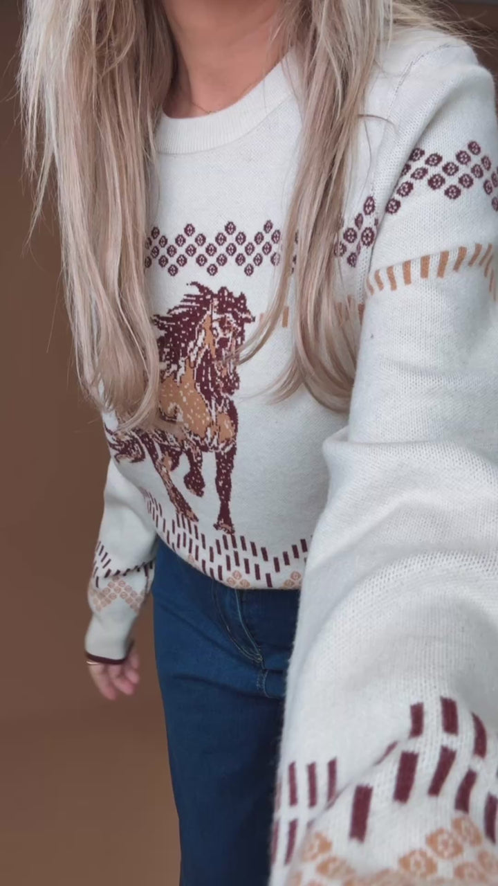 Wild Spirit Sweater